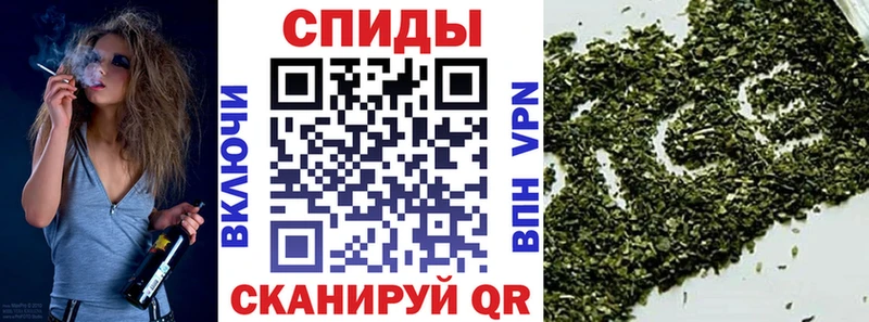 БУТИРАТ 1.4BDO купить цена Чадан