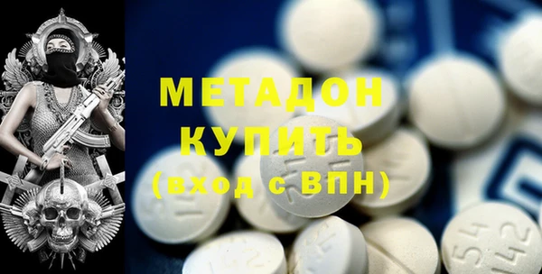 индика Алексин