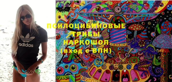 скорость Алзамай