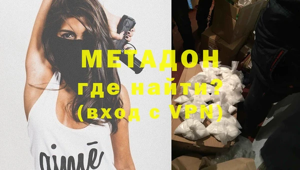 индика Алексин