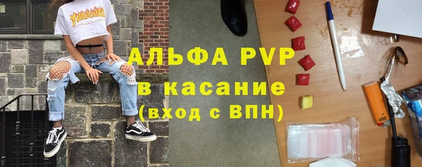 индика Алексин