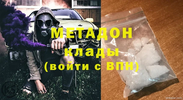 индика Алексин
